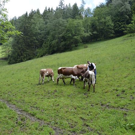 Panoramapension Lerchner Bad Kleinkirchheim Exterior foto